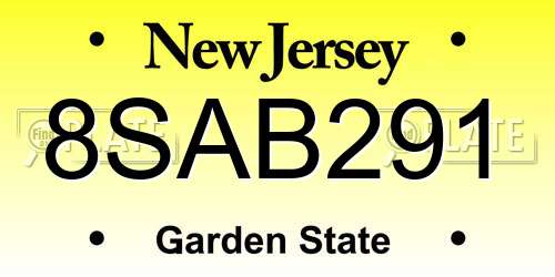 8SAB291 New Jersey License Plate