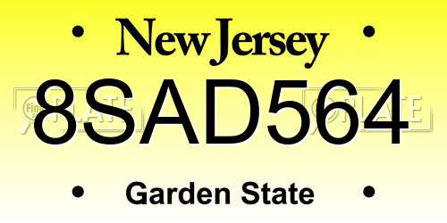 8SAD564 New Jersey License Plate