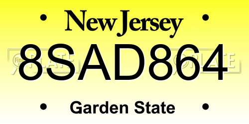 8SAD864 New Jersey License Plate