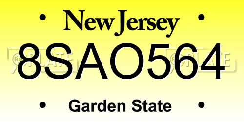 8SAO564 New Jersey License Plate