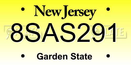 8SAS291 New Jersey License Plate