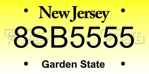 8SB5555 New Jersey License Plate