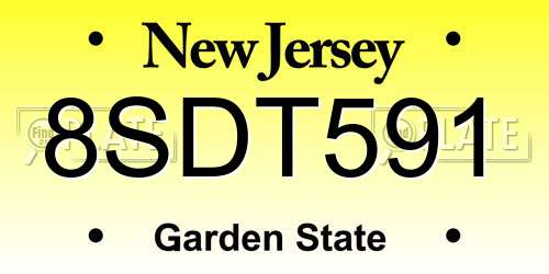 8SDT591 New Jersey License Plate