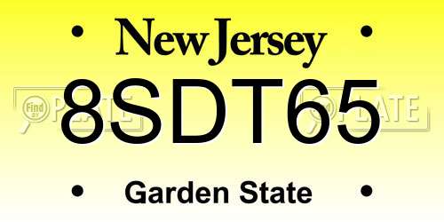 8SDT65 New Jersey License Plate