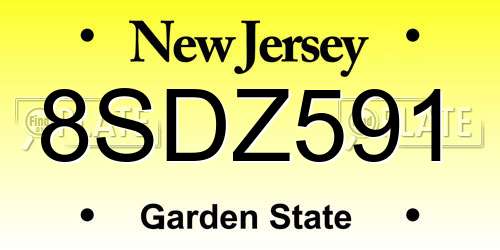 8SDZ591 New Jersey License Plate