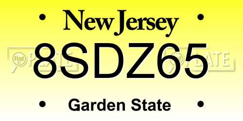 8SDZ65 New Jersey License Plate