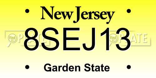 8SEJ13 New Jersey License Plate