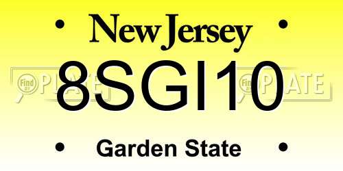 8SGI10 New Jersey License Plate
