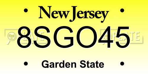 8SGO45 New Jersey License Plate