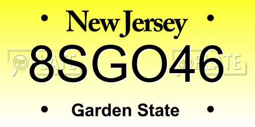 8SGO46 New Jersey License Plate