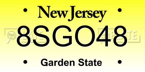 8SGO48 New Jersey License Plate