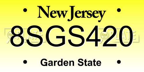 8SGS420 New Jersey License Plate