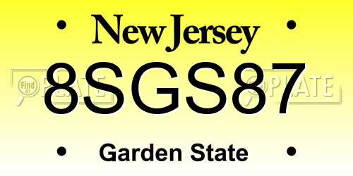 8SGS87 New Jersey License Plate