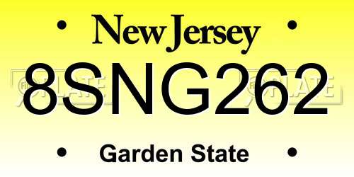 8SNG262 New Jersey License Plate