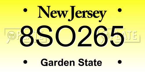 8SO265 New Jersey License Plate