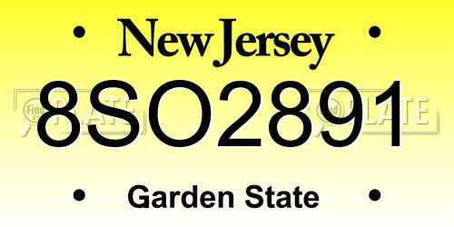 8SO2891 New Jersey License Plate