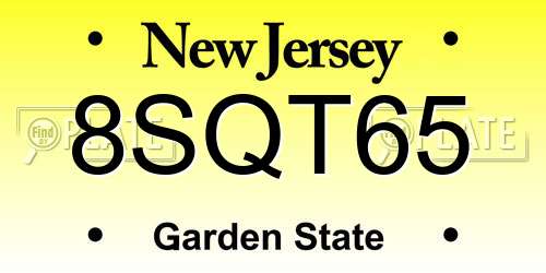 8SQT65 New Jersey License Plate