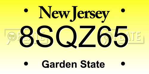 8SQZ65 New Jersey License Plate