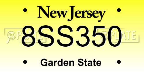 8SS350 New Jersey License Plate