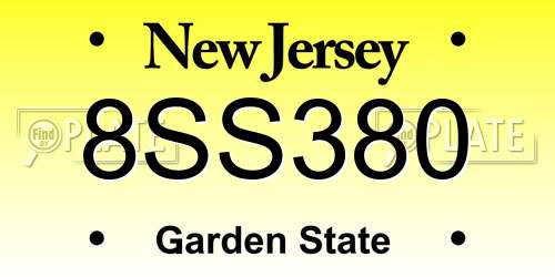 8SS380 New Jersey License Plate