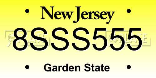 8SSS555 New Jersey License Plate