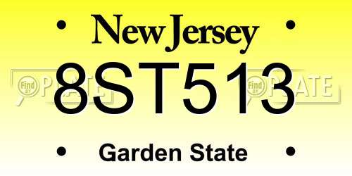 8ST513 New Jersey License Plate