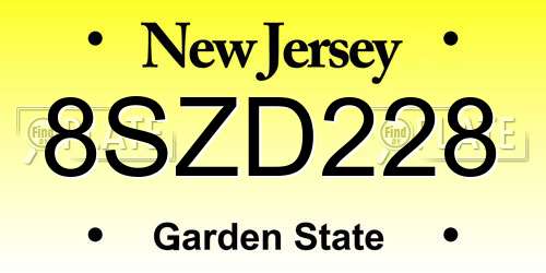 8SZD228 New Jersey License Plate