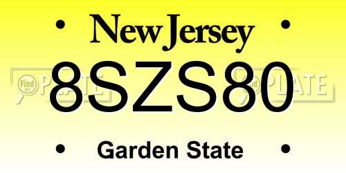 8SZS80 New Jersey License Plate