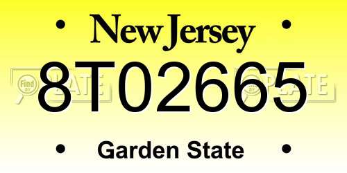 8T02665 New Jersey License Plate