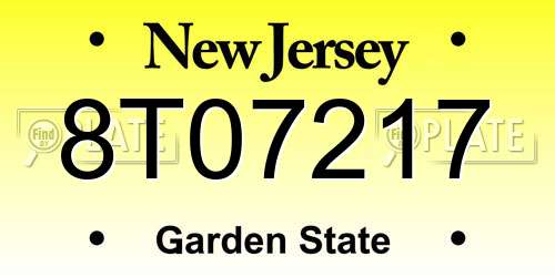 8T07217 New Jersey License Plate