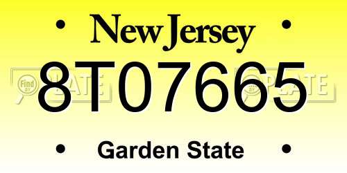 8T07665 New Jersey License Plate