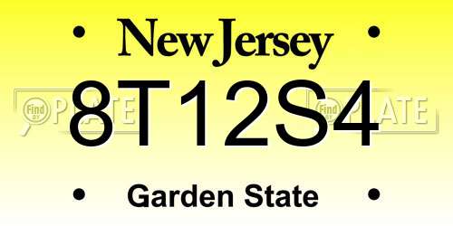 8T12S4 New Jersey License Plate