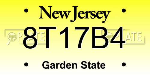 8T17B4 New Jersey License Plate
