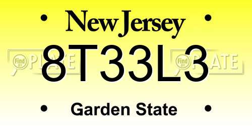 8T33L3 New Jersey License Plate