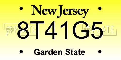 8T41G5 New Jersey License Plate