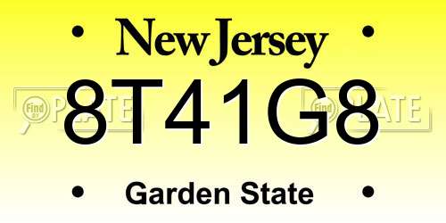 8T41G8 New Jersey License Plate