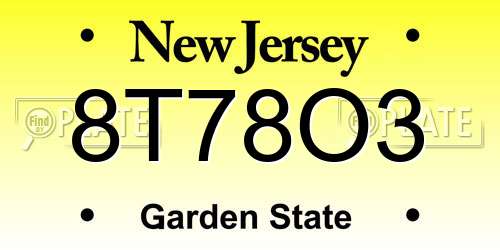 8T78O3 New Jersey License Plate