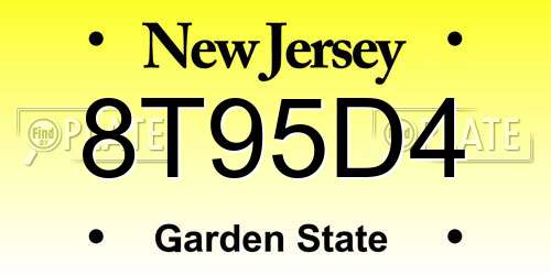 8T95D4 New Jersey License Plate