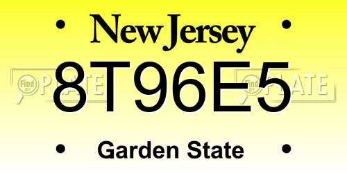 8T96E5 New Jersey License Plate