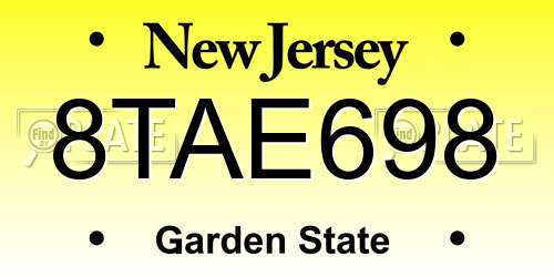 8TAE698 New Jersey License Plate