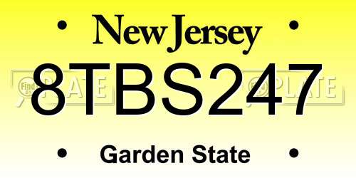 8TBS247 New Jersey License Plate