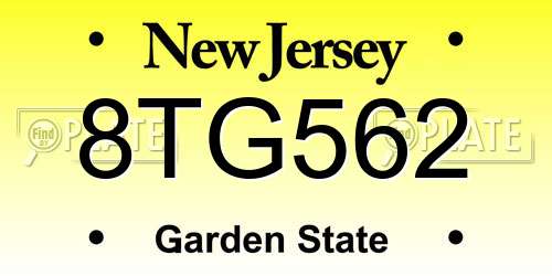 8TG562 New Jersey License Plate