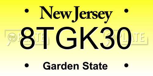 8TGK30 New Jersey License Plate