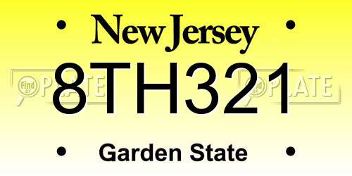 8TH321 New Jersey License Plate