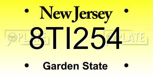 8TI254 New Jersey License Plate