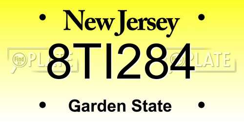 8TI284 New Jersey License Plate