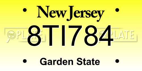 8TI784 New Jersey License Plate
