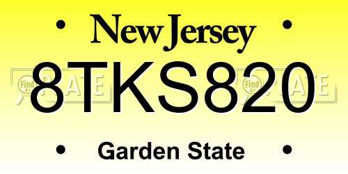 8TKS820 New Jersey License Plate