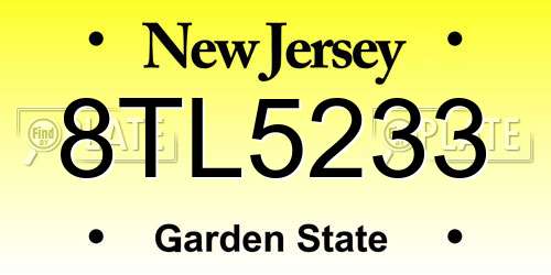 8TL5233 New Jersey License Plate