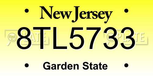8TL5733 New Jersey License Plate